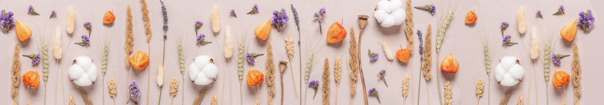 Anemon Flowers Preserved Flower - Şoklanmış Çicek